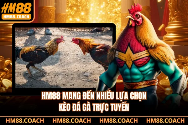 HM88 mang đến nhiều lựa chọn kèo đá gà trực tuyến HM88 mang đến nhiều lựa chọn kèo đá gà trực tuyến